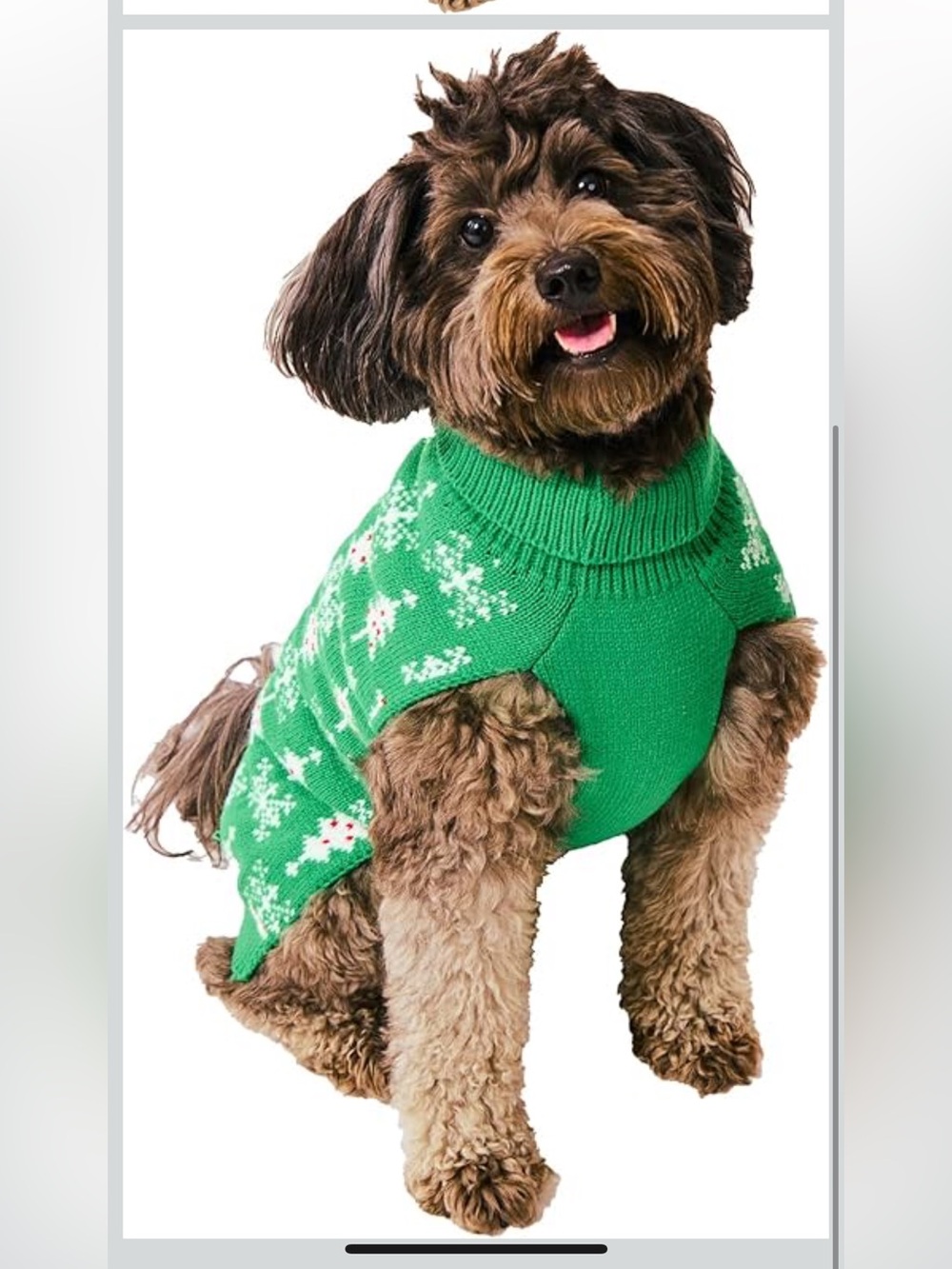 Amazon Bioworld Christmas Trees & Snowflakes Green Pet Sweater XS